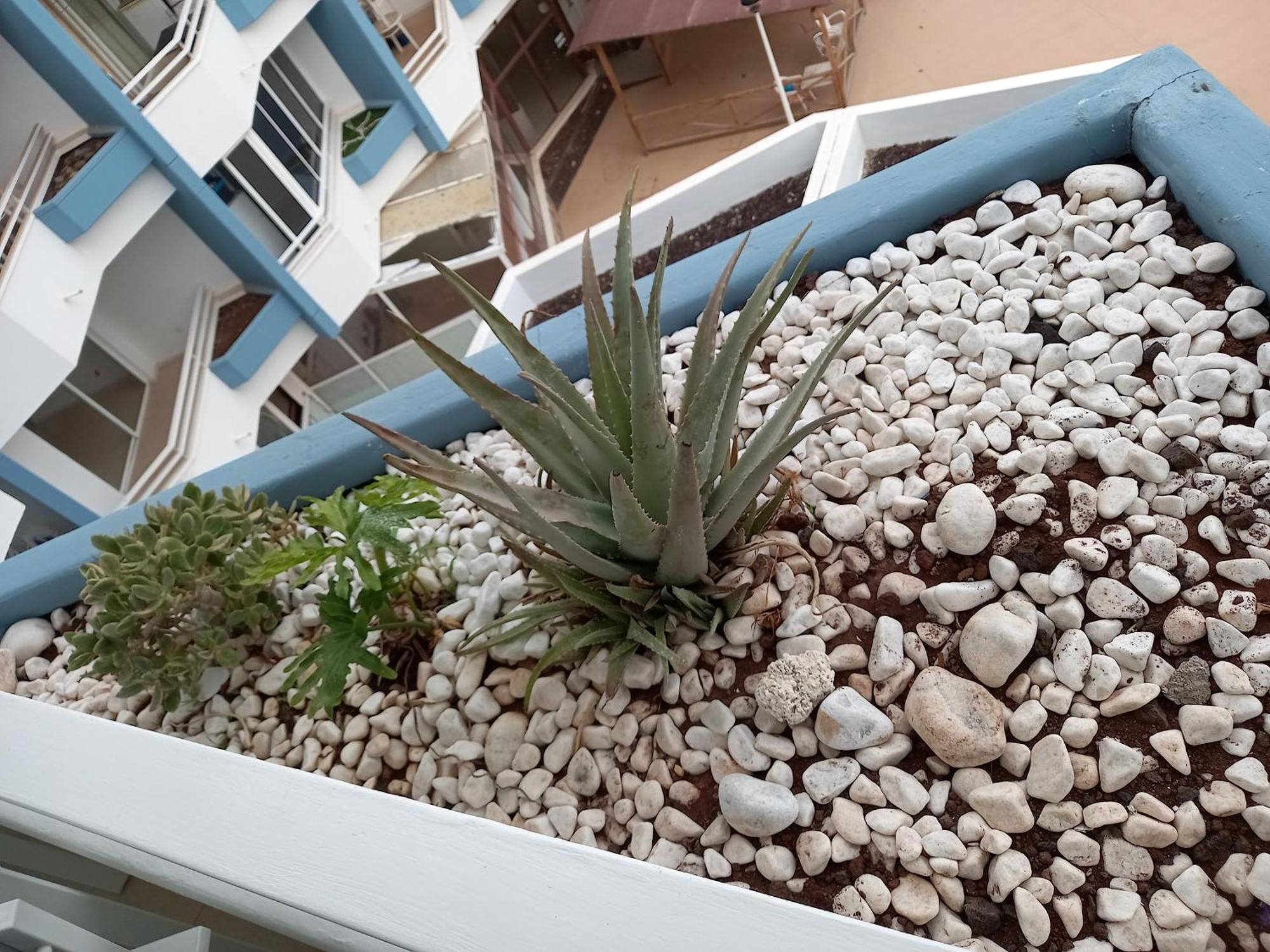 Holiday Apartment in Sunny Golf Del Sur Tenerife San Miguel de Abona Exterior foto